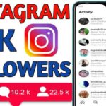 Instagram Free Followers